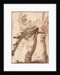 Two Silver Birches, the Front One Fallen, c. 1629 by Nicolas Poussin