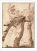 Two Silver Birches, the Front One Fallen, c. 1629 by Nicolas Poussin