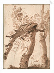 Two Silver Birches, the Front One Fallen, c. 1629 by Nicolas Poussin