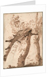 Two Silver Birches, the Front One Fallen, c. 1629 by Nicolas Poussin