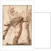 Two Silver Birches, the Front One Fallen, c. 1629 by Nicolas Poussin