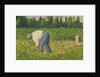 Paysan travaillant, 1883 by George Pierre Seurat