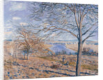 Banks of the Loing - Autumn Effect, 1881 by Alfred Sisley