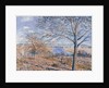 Banks of the Loing - Autumn Effect, 1881 by Alfred Sisley