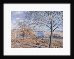 Banks of the Loing - Autumn Effect, 1881 by Alfred Sisley