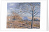 Banks of the Loing - Autumn Effect, 1881 by Alfred Sisley