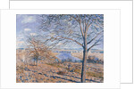 Banks of the Loing - Autumn Effect, 1881 by Alfred Sisley