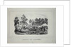 Battle between Russian troops and French cavalry near Ostrovno 25-26 July 1812 by Anonymous