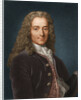Portrait of the writer, essayist and philosopher Francois Marie Arouet de Voltaire, 1730s by Anonymous