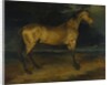 A Horse frightened by Lightning, ca 1814 by Théodore Géricault