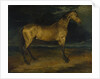 A Horse frightened by Lightning, ca 1814 by Théodore Géricault