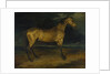 A Horse frightened by Lightning, ca 1814 by Théodore Géricault