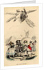 The new Icarus, 1840s by Jean-Jacques Grandville