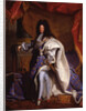 Louis XIV, King of France, 1702 by Hyacinthe François Honoré Rigaud