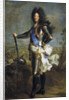 Louis XIV, King of France (1638-1715) by Hyacinthe Francois Honore Rigaud