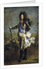 Louis XIV, King of France (1638-1715) by Hyacinthe Francois Honore Rigaud