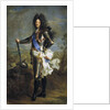 Louis XIV, King of France (1638-1715) by Hyacinthe Francois Honore Rigaud