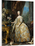 Portrait of Marie Leszczynska, Queen of France, 1747 by Carle Van Loo