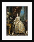 Portrait of Marie Leszczynska, Queen of France, 1747 by Carle Van Loo