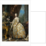 Portrait of Marie Leszczynska, Queen of France, 1747 by Carle Van Loo
