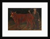 Farmer with Bull, 1916 by Niko Pirosmani