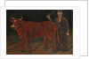 Farmer with Bull, 1916 by Niko Pirosmani