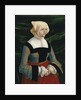 Portrait of a young Woman, ca 1521-1525 by Albrecht Altdorfer