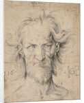 Head of a Bearded Old Man (Saturn), 1516 by Hans Baldung