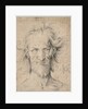 Head of a Bearded Old Man (Saturn), 1516 by Hans Baldung
