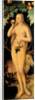 Eve, after 1537 by Lucas Cranach the Elder