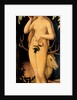 Eve, after 1537 by Lucas Cranach the Elder