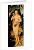 Eve, after 1537 by Lucas Cranach the Elder