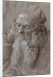 Head of an Old Man, 1521 by Albrecht Dürer