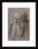 Head of an Old Man, 1521 by Albrecht Dürer