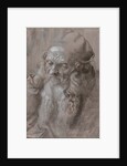 Head of an Old Man, 1521 by Albrecht Dürer