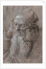 Head of an Old Man, 1521 by Albrecht Dürer