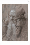 Head of an Old Man, 1521 by Albrecht Dürer