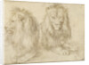 Two seated lions, 1521 by Albrecht Dürer