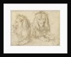 Two seated lions, 1521 by Albrecht Dürer