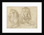 Two seated lions, 1521 by Albrecht Dürer