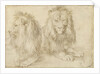 Two seated lions, 1521 by Albrecht Dürer