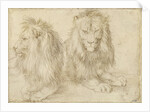 Two seated lions, 1521 by Albrecht Dürer