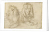 Two seated lions, 1521 by Albrecht Dürer