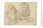 Two seated lions, 1521 by Albrecht Dürer