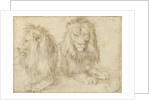 Two seated lions, 1521 by Albrecht Dürer