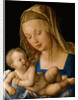 Virgin and child with a pear, 1512 by Albrecht Dürer