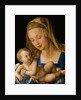 Virgin and child with a pear, 1512 by Albrecht Dürer