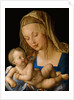Virgin and child with a pear, 1512 by Albrecht Dürer