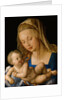 Virgin and child with a pear, 1512 by Albrecht Dürer