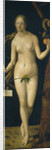 Eve, 1507 by Albrecht Dürer